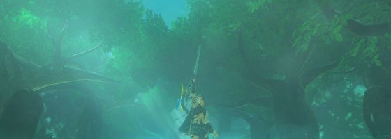 Breath of the Wild