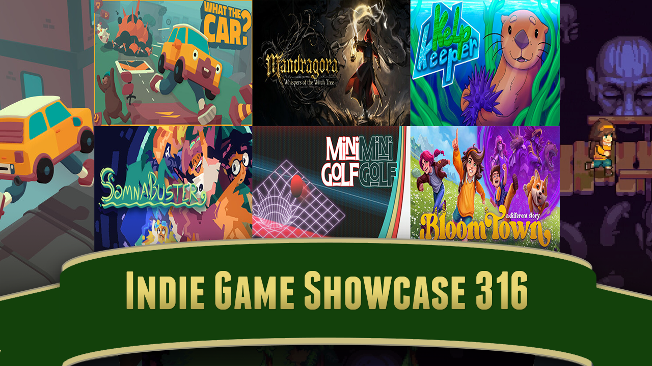 Indie Dev 316